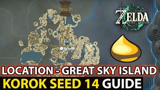 Korok Seed 14 Location On Great Sky Island Guide In Zelda Tears of the Kingdom TotK [upl. by Justino212]