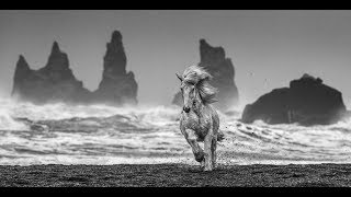 David Yarrow  White Horses [upl. by Curson]