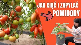 JAK USUWAÄ† LIĹšCIE POMIDORĂ“W ZAPYLANIE POMIDORĂ“W UPRAWA POMIDORĂ“W OGRĂ“D Z KASIA IN POMIDORY [upl. by Hsotnas]