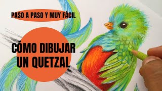 😱🔥 Cómo Dibujar Un Quetzal semirealista explicado Paso a Paso y ¡Muy fácil ✍👏 [upl. by Nedra]