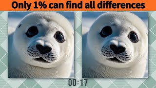 Spot the Differences  Harp Seal 1 [upl. by Koy]