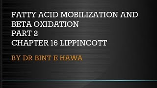 Beta oxidation of Fatty acids Chapter 16 Biochemistry made easy by Dr Bint e Hawa [upl. by Uon]