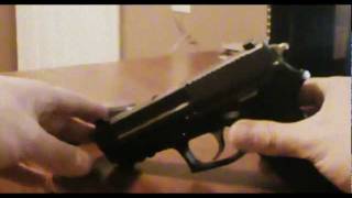 Customized SIG Sauer SP2022 [upl. by Heywood375]