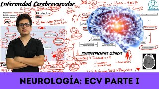 Repaso Neurología Enfermedad cerebrovascular  Parte 1 [upl. by Joappa909]