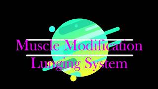 Muscle Modification Lunging amp Combination Cavesson [upl. by Ztnaj164]