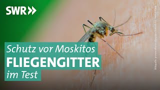 Fliegengitter gegen Moskitos Wie leicht geht der Einbau  Marktcheck SWR [upl. by Grekin]