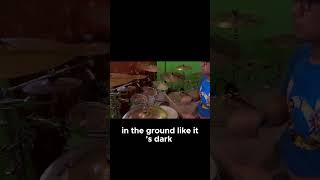 IV OF SPADES  ILAW SA DAAN Drum Cover music drumcover drummer opm ivos pinoyrock zildjian [upl. by Katheryn]