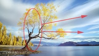 Start Taking BETTER PHOTOS TODAY The Rule of Thirds  Photography Composition Tutorial [upl. by Blackwell]