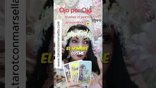 ¿El destino nos vuelve a unir Un giro mágico tarot leyatraccion dúo [upl. by Sibyls]