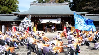 【香川大学よさこい連 風華】龍馬よさこい2024 1110日）龍馬演舞場（京都霊山護国神社） [upl. by Ramunni412]