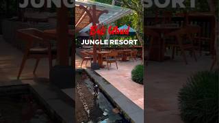 Lokha Ubud Resort Bali shortvideo ytshorts resort travel bali jungle [upl. by Amehsyt]