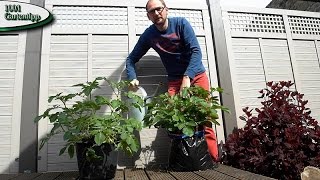 Gartentipp März 0317 Kartoffeln im Sack für Balkon Terasse und Garten [upl. by Inalial]