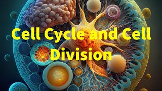 The Cell Cycle Explained  The Dance of Growth and Division [upl. by Aeslehc445]