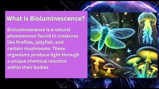 quotThe Science Behind Glowing Creatures Exploring Bioluminescencequot [upl. by Deste]