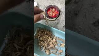 Altın eritme gold jewelry jewellery casting silwer gelindiamond golden goldjewellery [upl. by Yvaht]