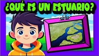 ¿Qué son los estuarios💧🌊🐠 [upl. by Neneek]