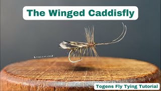 Winged Caddis  Instructional Video [upl. by Virgil447]