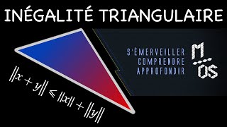 INÉGALITÉ TRIANGULAIRE [upl. by Aicena]