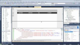 GridView  Part 4 How to Use Group Aggregates Silverlight amp WPF [upl. by Nilpik]