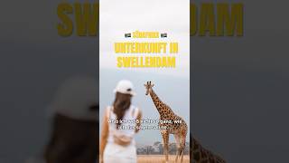 Unsere Unterkunft bei Giraffen 🥹🦒 südafrika weltreise vlog gardenroute [upl. by Silvester]