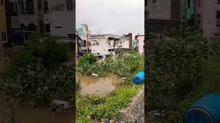 7 Gates are broken in Prakasam barrage 🌊🌊😭😭😭 [upl. by Nimaynib]