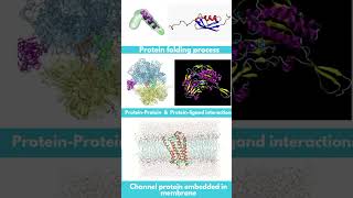 Molecular Dynamics Simulation Explained [upl. by Chobot]