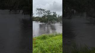 Floodplain at workdry the day before [upl. by Awe]