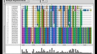 Bioinformatics part 4 Introduction to FASTA and BLAST [upl. by Orabla]