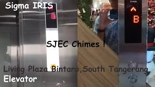 Sigma IRIS Scenic Elevator At Living Plaza Bintaro  South Tangerang [upl. by Neala]