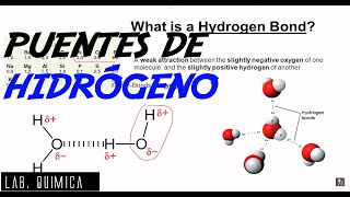 10Fuerzas Intermoleculares 103 Puentes de Hidrógeno [upl. by Larimor]