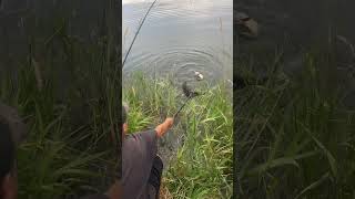 Fishing At Beautiful Stagecoach Reservoir In Oak Creek Colorado Cool Fish fishing shorts fun [upl. by Analos819]