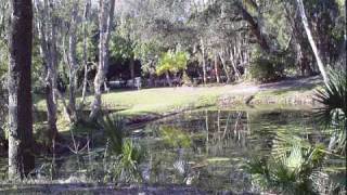 Lakeview Park Disc Golf  Sarasota FL [upl. by Nanon]