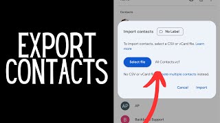 How To Export iPhone Contacts To Google Account  Full Guide [upl. by Cobby]