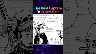 The Real Captain Of Straw Hats ft Nami Law Usopp  One Piece sliceoflife manhwa funny [upl. by Surtimed]