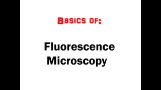 Fluorescence Microscopy in 5 mins HD [upl. by Anelliw]