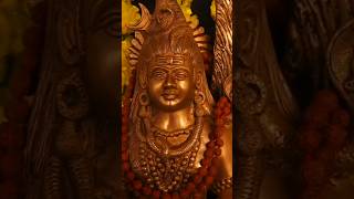 Om namah shivaya trending viral lordshiva shiva mahadev shivan lord shivalingam god shorts [upl. by Sateia]