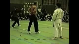 Pencak Silat VS Karate [upl. by Schramke620]