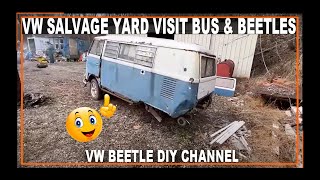 VW Beetle Salvage Yard Visit  Forgotten VW Bus  Dune Buggy  VW Bug  vwbeetle sladesbeetle [upl. by Manvell]