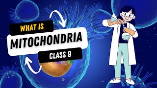 What is mitochondria Science class 9 [upl. by Juan]