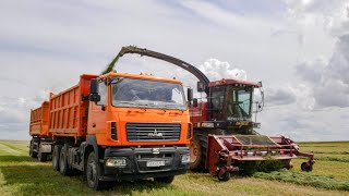 Заготовка сенажа  ПАЛЕССЕ FS8060 FS80 John Deere 7480  МАЗ 6501 5551 БЕЛАРУС 1221 и другие [upl. by Eimilb880]