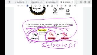 biochemistry lecture 4amp5 part one [upl. by Ellehcim127]