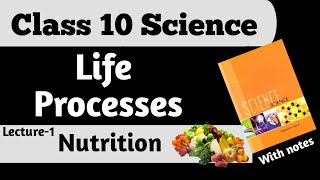 Nutrition Autrotrophic amp Heterotrophic  Life Processes  Class 10  Science  Lecture1 [upl. by Aillij]