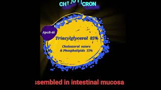 Chylomicrons Metabolism Made Easy [upl. by Allare844]