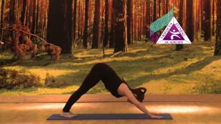 Yoga  Eka Pada Adho Mukha Svanasana One Legged Downward Facing Dog Pose [upl. by Constantino]