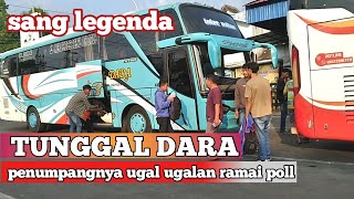 SANG LEGENDA AKHIRNYA DATANG JUGA BUS TUNGGAL DARA PENUMPANG RAMAI POLL [upl. by Teddi]