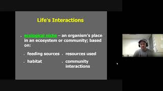 Ecological Niche  Why We Reintroduced Yellowstone Wolves [upl. by Airekahs]