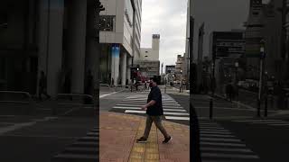 USE PEDESTRIAN CROSSING AVOID JAYWALKING japanshortsviraltrending [upl. by Enomor]