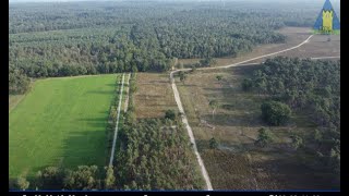 Vragenlijst over de Wezeperheide en de Vuursteenberg [upl. by Faxun]