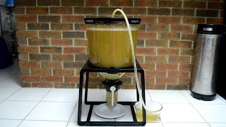 The Catalyst Fermentation System A HandsOn Review [upl. by Ailehpo693]