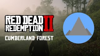 Red Dead Redemption 2  Rock carving location  Cumberland Forest [upl. by Lazaruk]